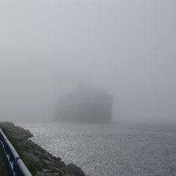 Out from the Fog