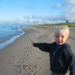 "It's too crowded," said no one. Ever.