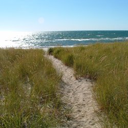 Path to the Beach