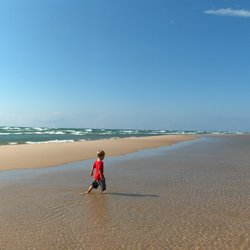 Ludington State Park Beach