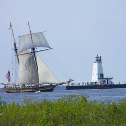 An Interesting Visitor